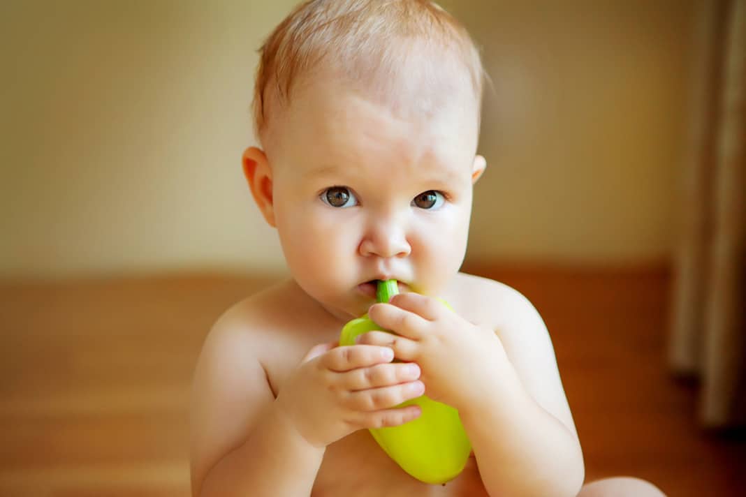 baby led weaning recipes